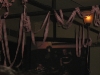 lms09BON 002