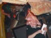 P1010668